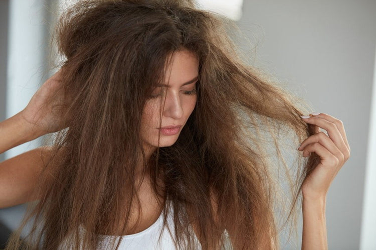 L’Essence du Soin Nourrissant - Une Vague de Douceur pour Vos Cheveux