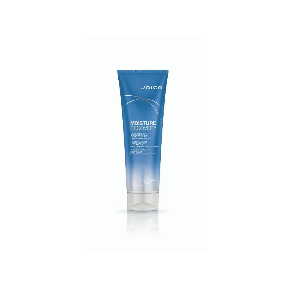 Joico : Revitalisant Moisture Recovery