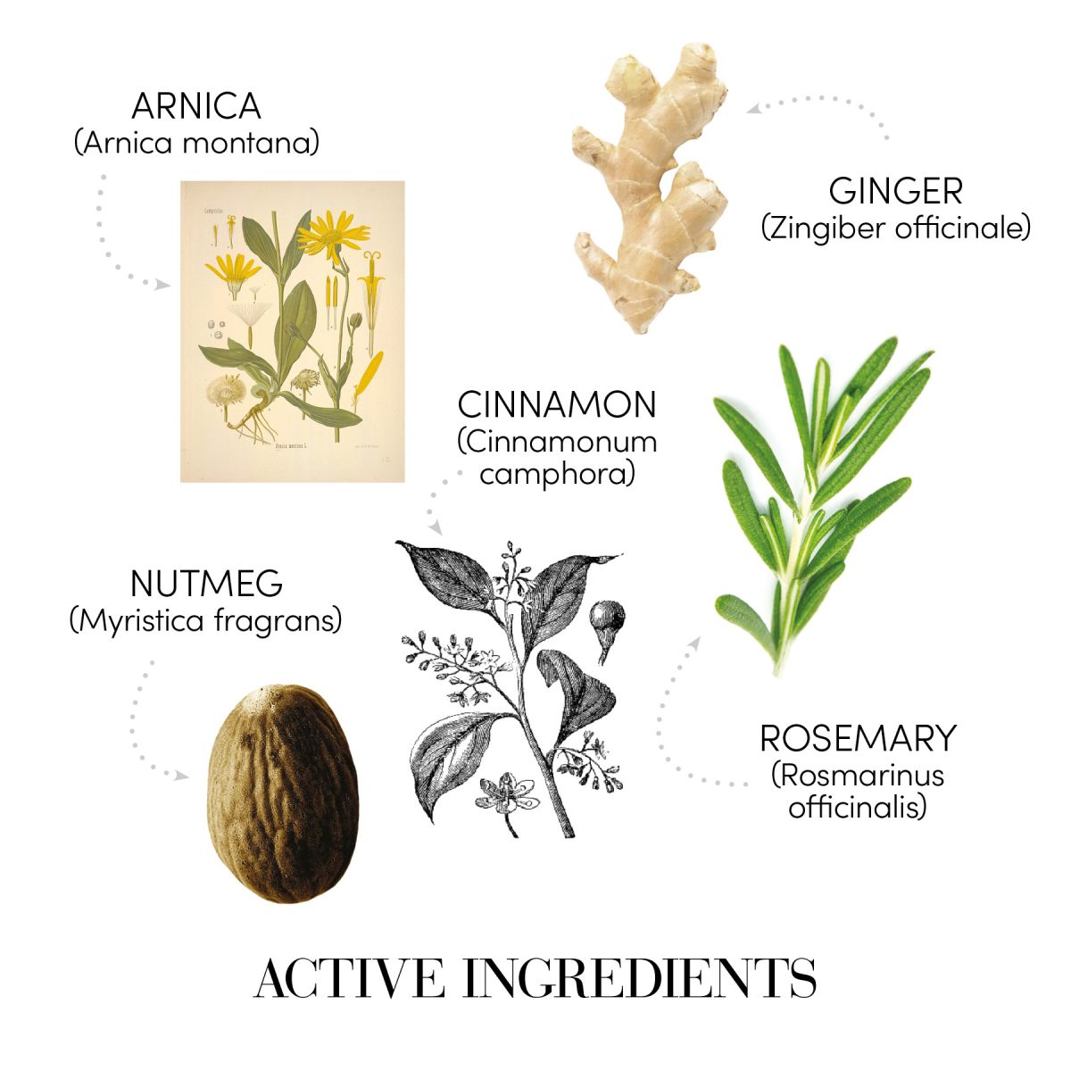 Medavita : Shampooing Antichute Homme