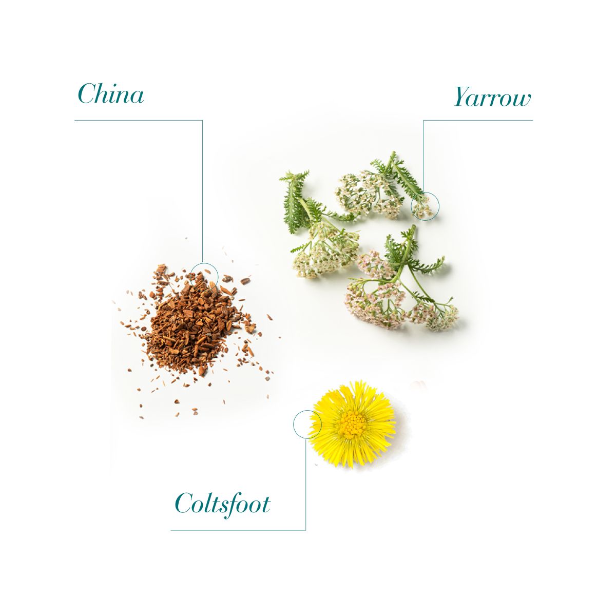 Medavita : Shampooing Antichute Femme