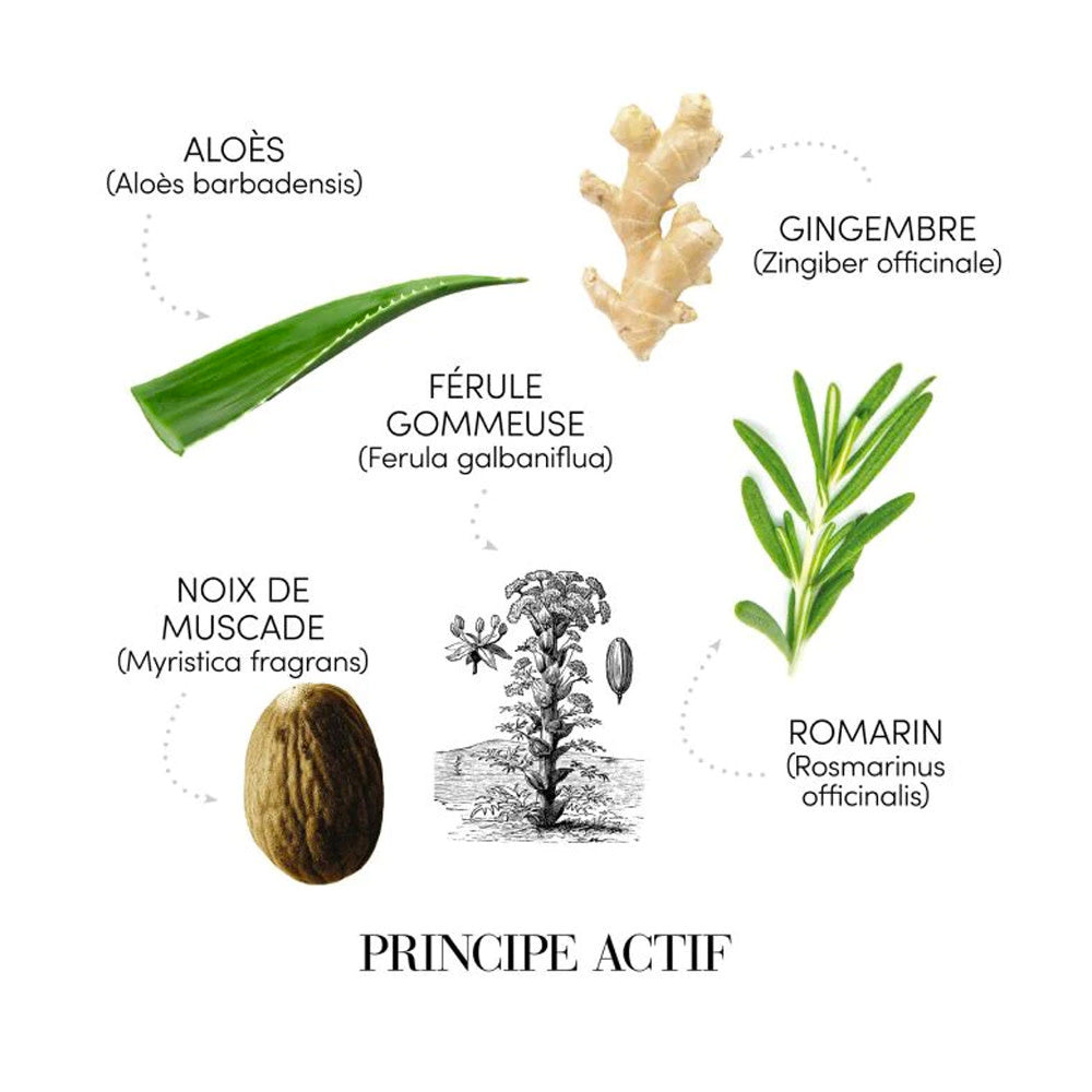 Medavita : Coffret Antipellicules Puroxine