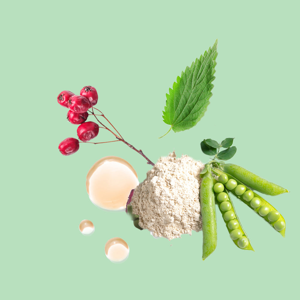 Joico : Gommage Moussant Purifiant pour le Cuir Chevelu Scalp Vitality