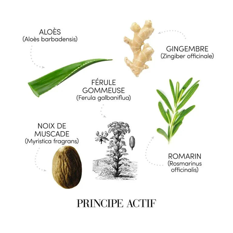Medavita : Shampooing Antipellicules Puroxine