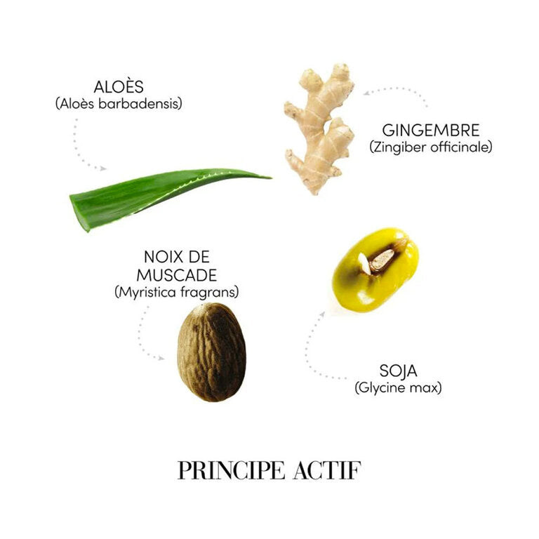 Medavita : Shampooing Sebo-Equilibrante Rééquilibre