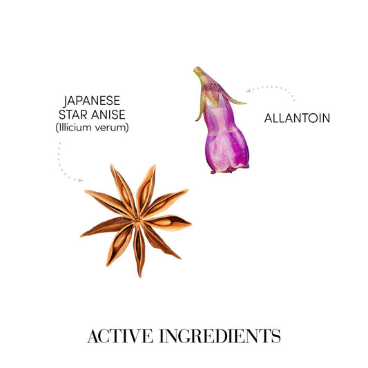 Medavita : Exfoliant Cutis Pura Detoxifiant
