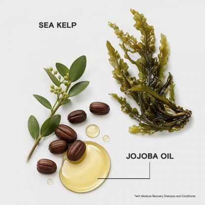 Joico : Duo Moisture Recovery - Désalterez Et Ravivez